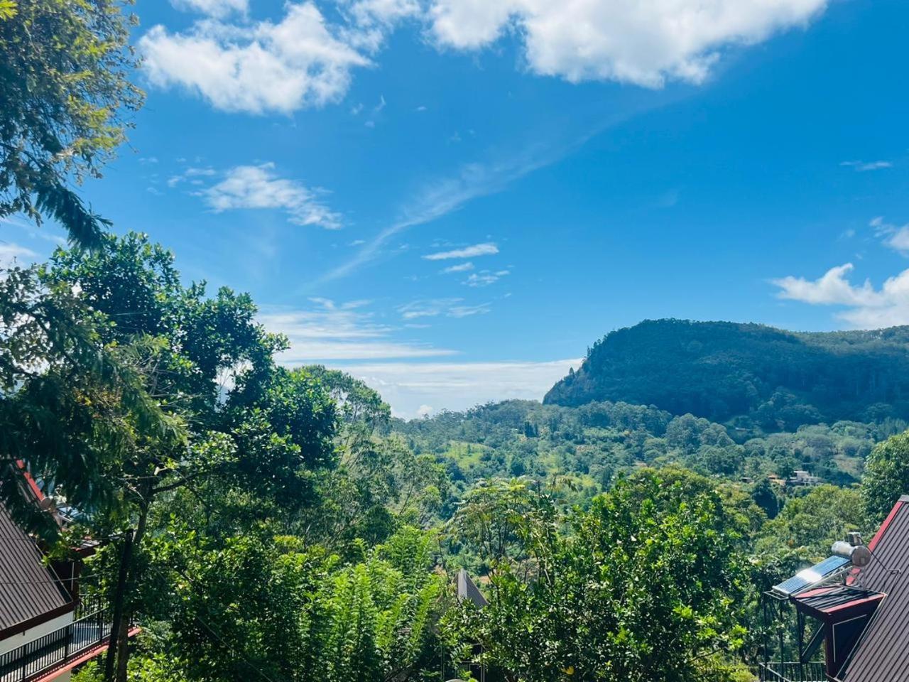 लॉज Cloudy Hill
