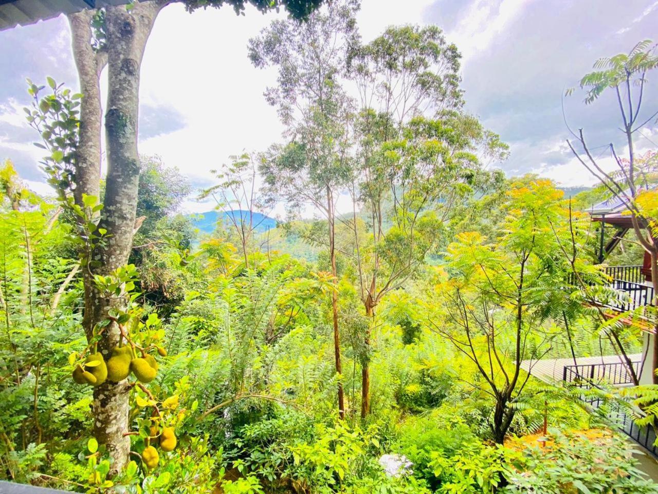 लॉज Cloudy Hill Ella